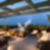 8ª imagem do imóvel