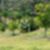 63ª imagem do imóvel