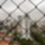 10ª imagem do imóvel