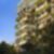 6ª imagem do imóvel