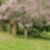 54ª imagem do imóvel