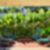 34ª imagem do imóvel