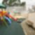 23ª imagem do imóvel