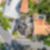 3ª imagem do imóvel