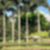 11ª imagem do imóvel