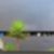 2ª imagem do imóvel