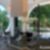 29ª imagem do imóvel