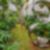 42ª imagem do imóvel