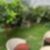 29ª imagem do imóvel
