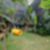 20ª imagem do imóvel