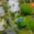 4ª imagem do imóvel