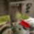 4ª imagem do imóvel