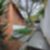 35ª imagem do imóvel