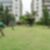 39ª imagem do imóvel