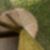 123ª imagem do imóvel