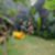 80ª imagem do imóvel