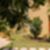 43ª imagem do imóvel