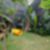 30ª imagem do imóvel