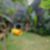 70ª imagem do imóvel
