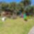 103ª imagem do imóvel