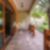 70ª imagem do imóvel