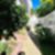 37ª imagem do imóvel