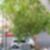 22ª imagem do imóvel
