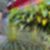32ª imagem do imóvel
