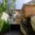 47ª imagem do imóvel