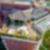 19ª imagem do imóvel