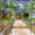 61ª imagem do imóvel