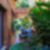 20ª imagem do imóvel