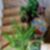 25ª imagem do imóvel