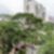 31ª imagem do imóvel