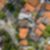 71ª imagem do imóvel