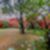 36ª imagem do imóvel