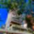 24ª imagem do imóvel