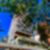 37ª imagem do imóvel