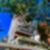 2ª imagem do imóvel