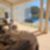 12ª imagem do imóvel