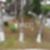 24ª imagem do imóvel