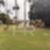 11ª imagem do imóvel