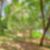 57ª imagem do imóvel