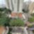 33ª imagem do imóvel