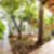 33ª imagem do imóvel