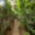 29ª imagem do imóvel