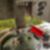 2ª imagem do imóvel