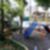 58ª imagem do imóvel