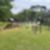 17ª imagem do imóvel