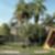 11ª imagem do imóvel